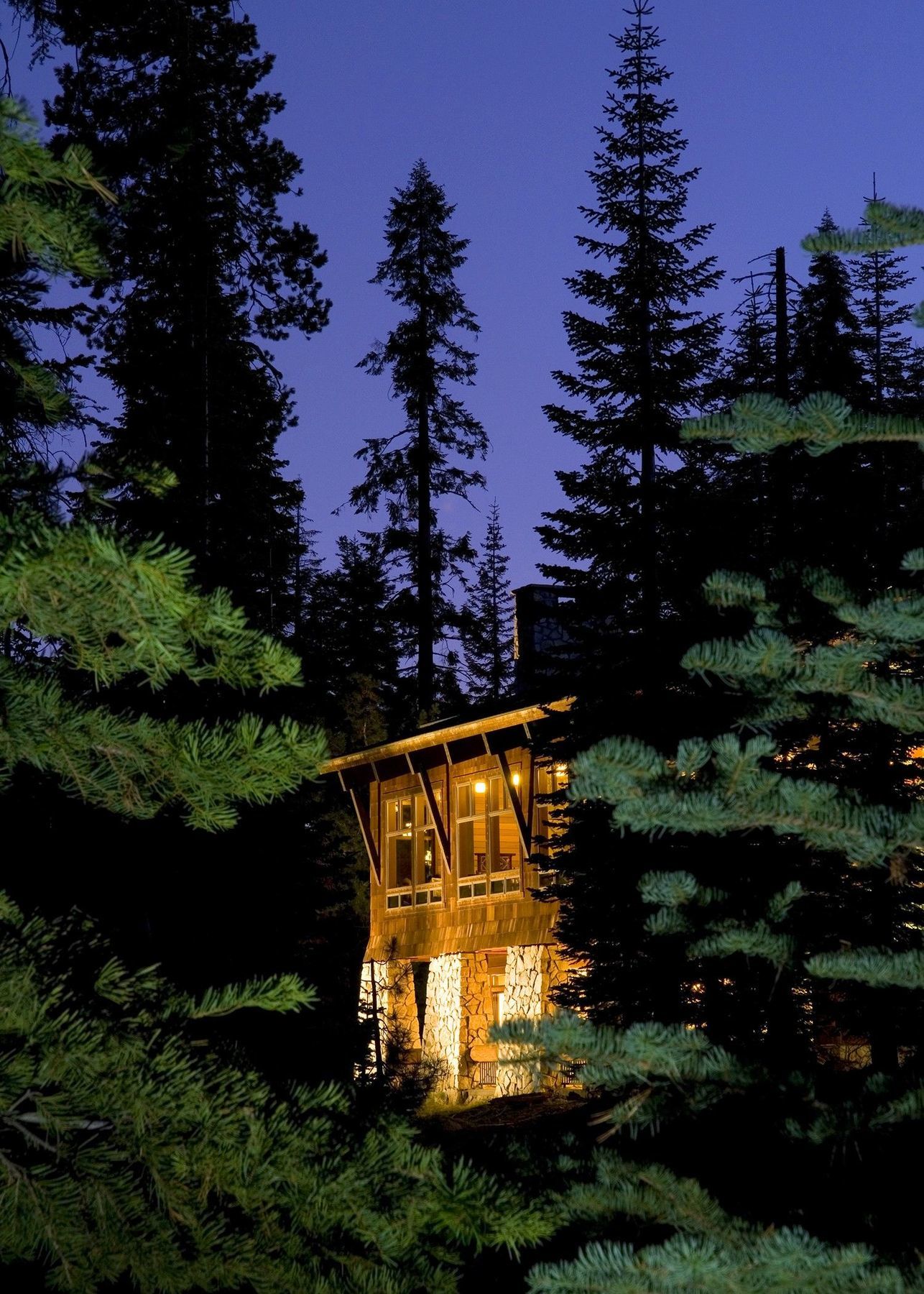 Wuksachi Lodge Badger Dış mekan fotoğraf